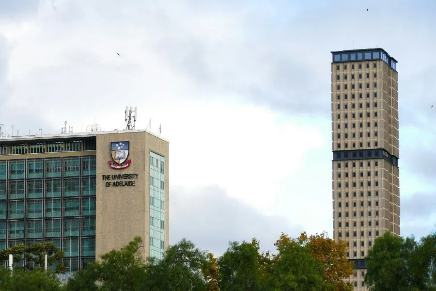 Are You Eligible for a 100 Tuition Scholarship in Australia Next Year