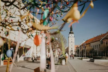 Fully Funded Slovakia Scholarship 2026–27