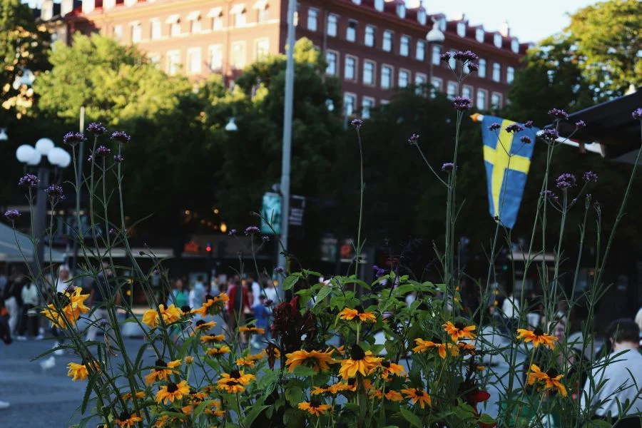 Sweden to Pay Permanent Residents $31,000