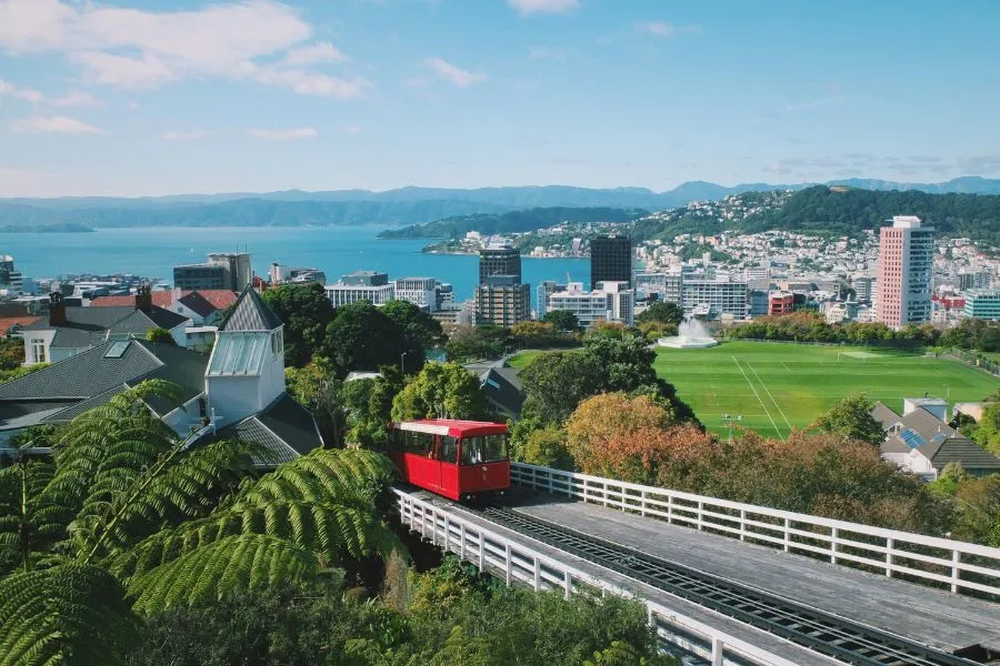 Switch from a Tourist Visa to a Student Visa in New Zealand